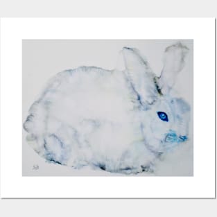 BLUE EYES RABBIT Posters and Art